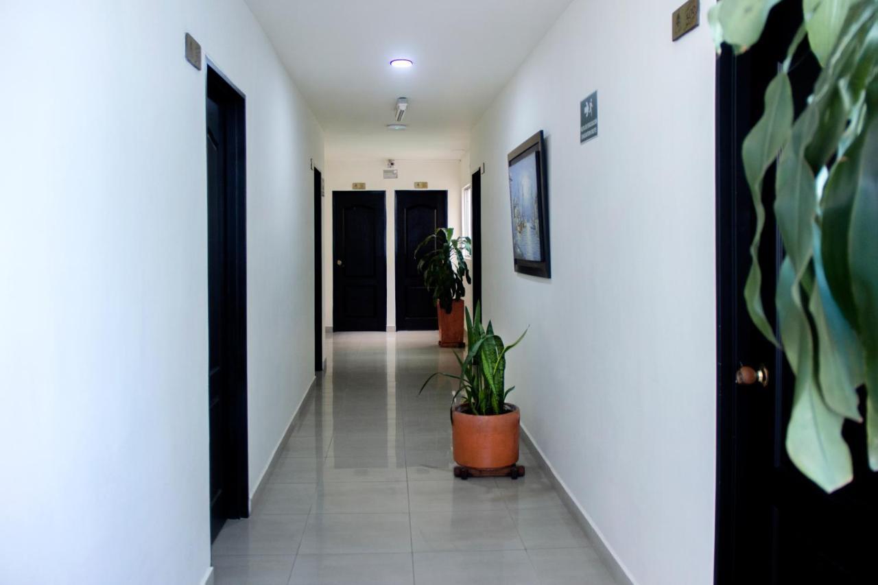 מדיין Hotel Plazuela San Ignacio מראה חיצוני תמונה