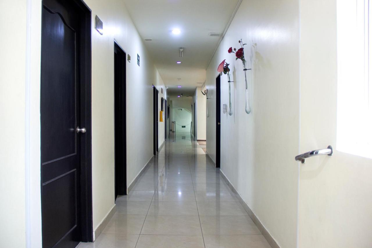מדיין Hotel Plazuela San Ignacio מראה חיצוני תמונה