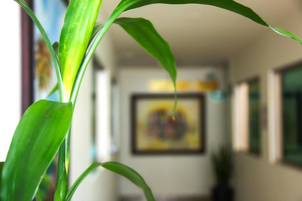 מדיין Hotel Plazuela San Ignacio מראה חיצוני תמונה